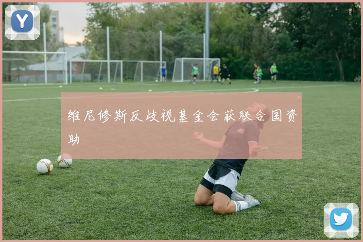 维尼修斯反歧视基金会获联合国资助