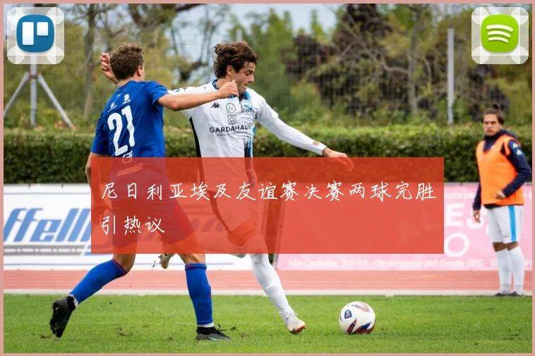 尼日利亚埃及友谊赛决赛两球完胜引热议