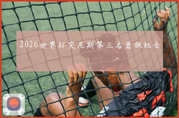 2026世界杯突尼斯第三名晋级机会